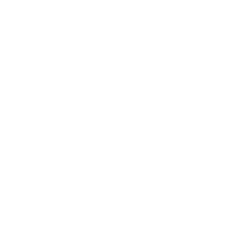 TvS Media